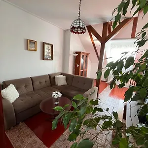Kasztanova W Samym Sercu Miasta , Kołobrzeg Polska